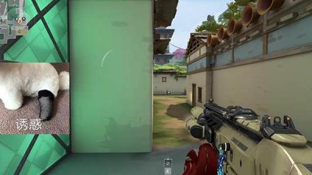 被奶妈这波调戏，谁能忍住不追出去