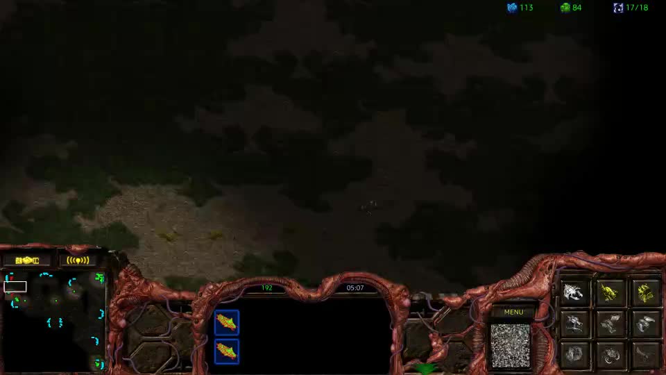 scrscr的直播间-片段1