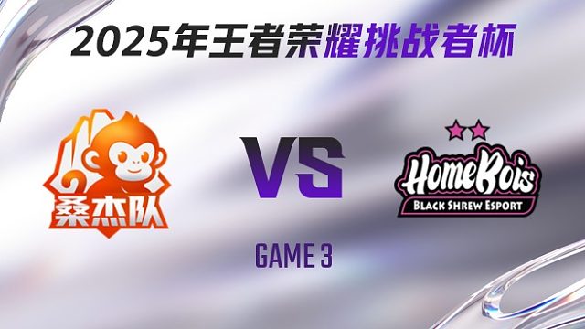 桑杰队 vs HBSE-3 2025王者荣耀挑战者杯