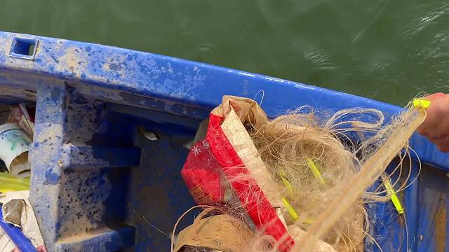 请问各位大哥，有没有好办法解决清道夫呢！