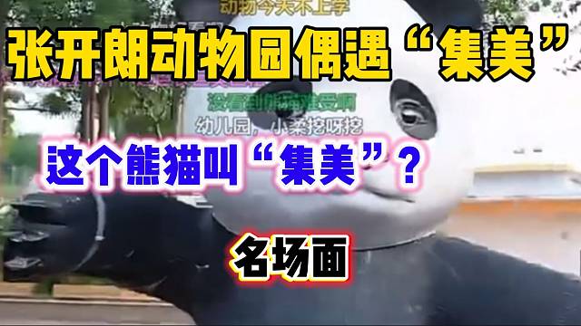 张开朗逛动物园偶遇“集美”？名场面诞生！