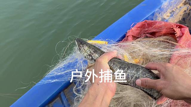 请问各位大哥，有没有好办法解决清道夫呢！