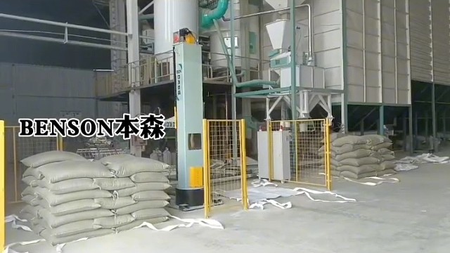 #立柱式码垛机械手-本森