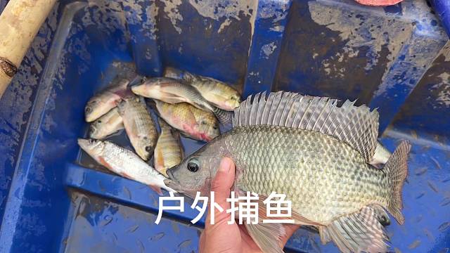 乡村的小河，虽不起眼，却是心中最美的风景。