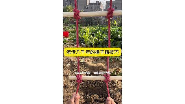 流传几千年的梯子结技巧