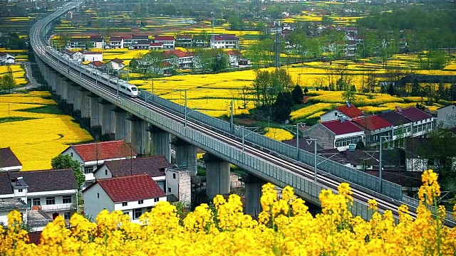 又想看油菜花了！ #大成航空  #航拍 #无人机