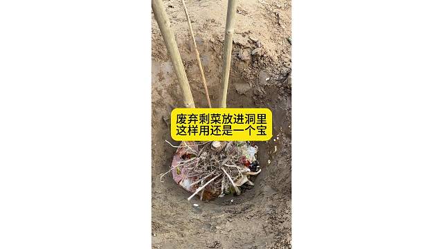 废弃剩饭放进洞里，这样用还是一个宝