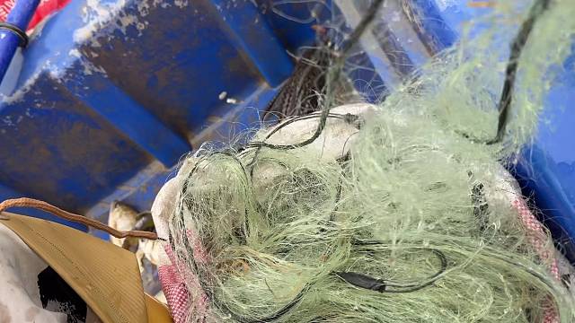 河里捕鱼，感受大自然的魅力，体验回归自然的纯净。