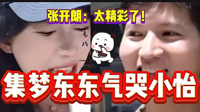 集梦小怡举报东东组违反规定，随后东东竟然“疯了”？