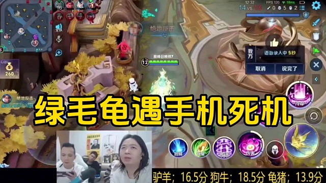 绿毛龟突然遇到手机死机，重启手机后游戏已经结束！