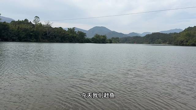 今天风景真不错