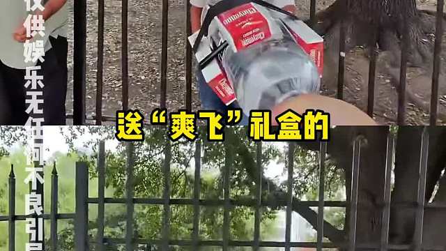 好一波美式扶贫啊