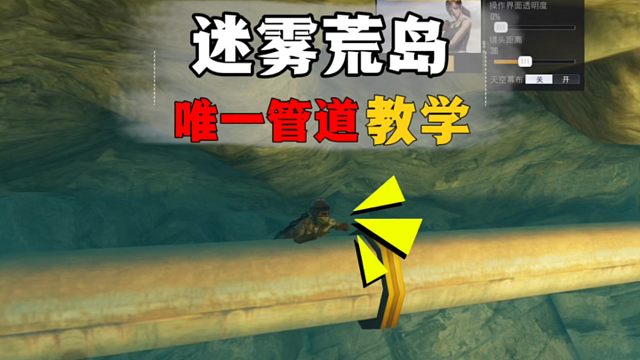 迷雾荒岛唯一可以上管道的详细教学，