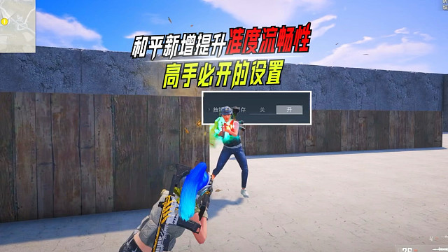 这个功能迎来优化加强，将成为高手玩家必开的一个设置！ #和平精英PC模拟器 #怼友们来和平玩雪 #和