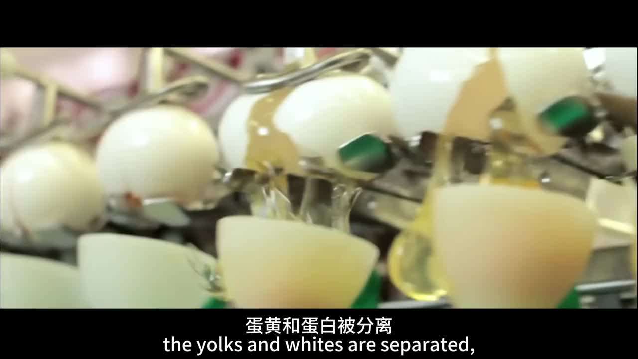 鸡蛋是如何变成蛋黄酱的？蛋黄酱工厂揭秘蛋黄酱真的是用鸡蛋做的吗？看看这个蛋黄酱工厂的视频了解一下吧