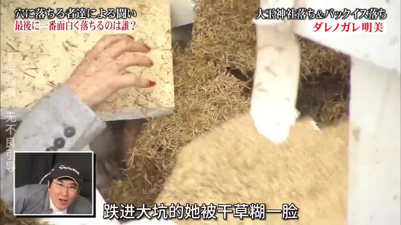 小日子的综艺到底有多奇葩