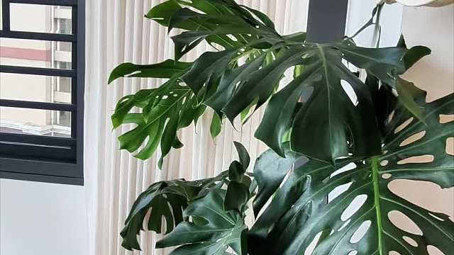 当我瞒着我妈买下了一套20年老房子。。。