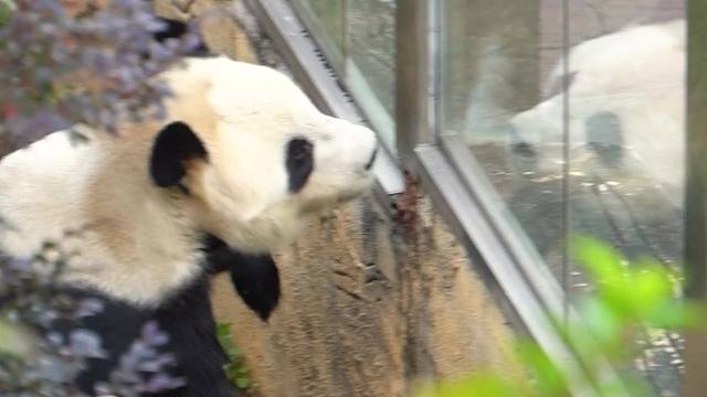 等困啦~姨姨怎么还没有来贴贴