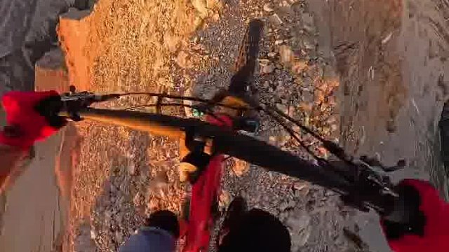 永远热爱风与自由。