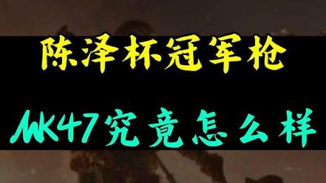 陈泽杯冠军枪MK47