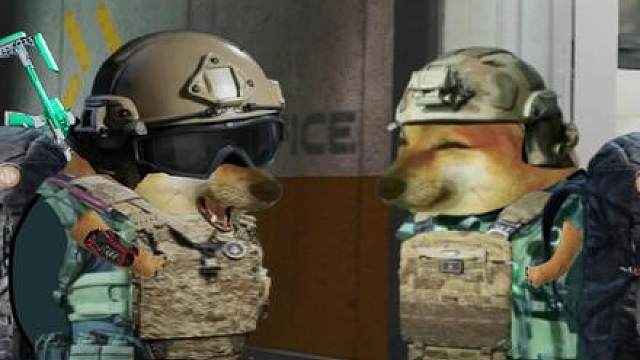 连一只鼠鼠都保护不了