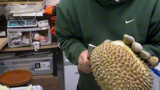 开一个2024年王美德冠军黑刺