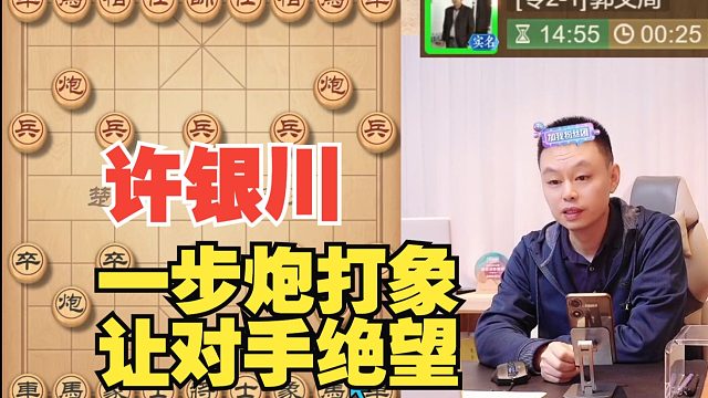 许银川：炮打象让他绝望了，直接逃跑了