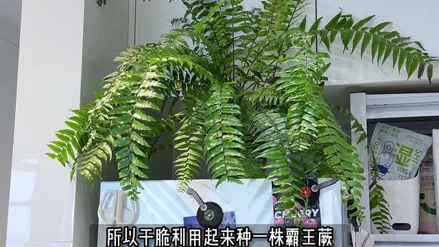 一镜到底带你看看我花光积蓄也要买的公寓…