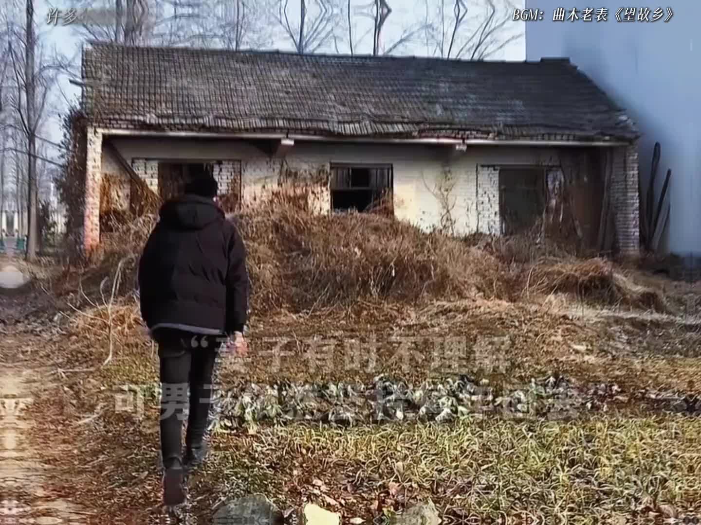 回一次老家相当于看了次心理医生