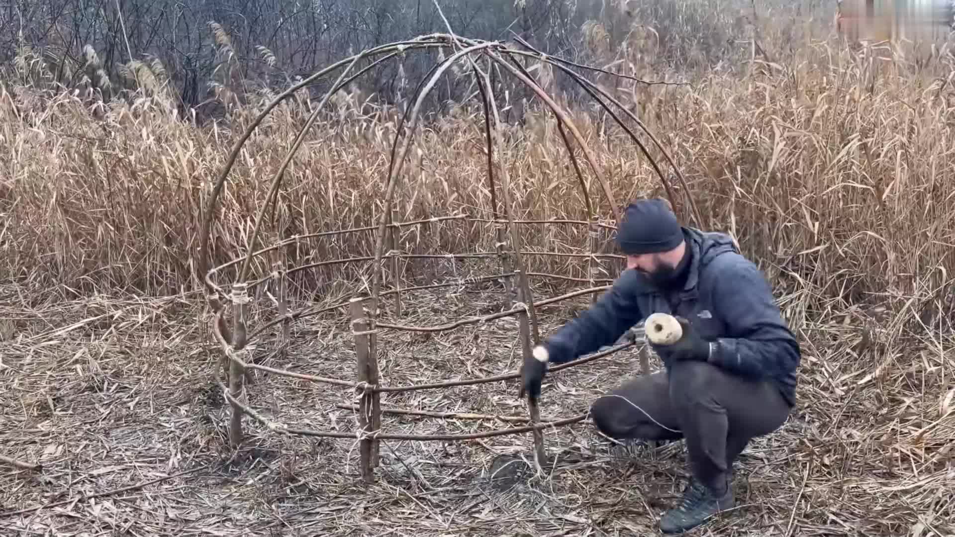 荒野建造 刚子在芦苇地搭建了一个庇护所 (2)