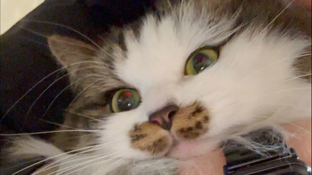 想亲奶糖的快点来排队喽！我替你们多亲几下