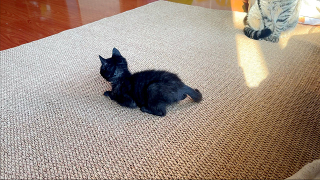 每天的幸福从打开门开始