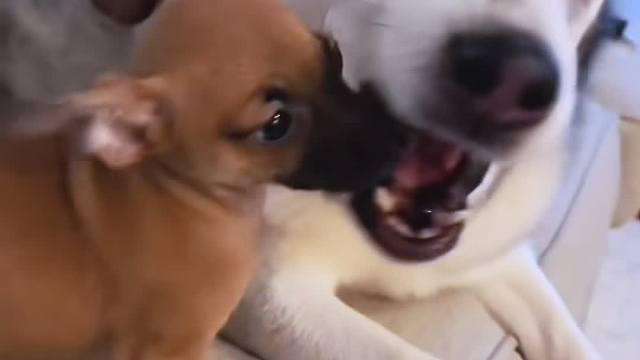 总有一直倒霉蛋