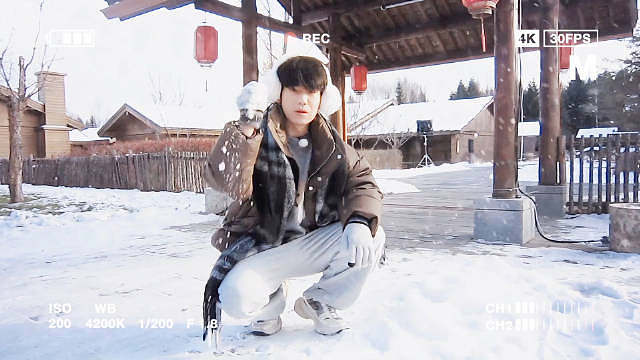 冬日的碎片。 ​​​