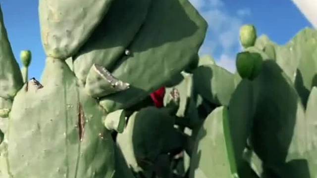 解压切切切，极度舒适，沉浸式享受，又来喽