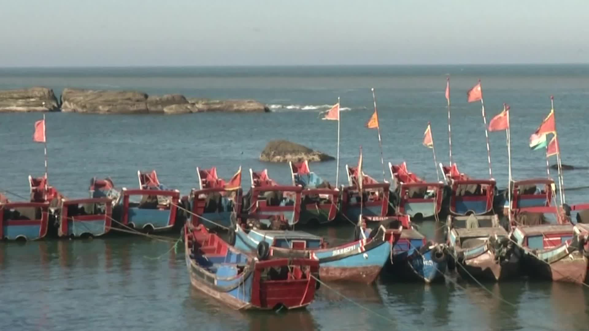 《小岛的见证》