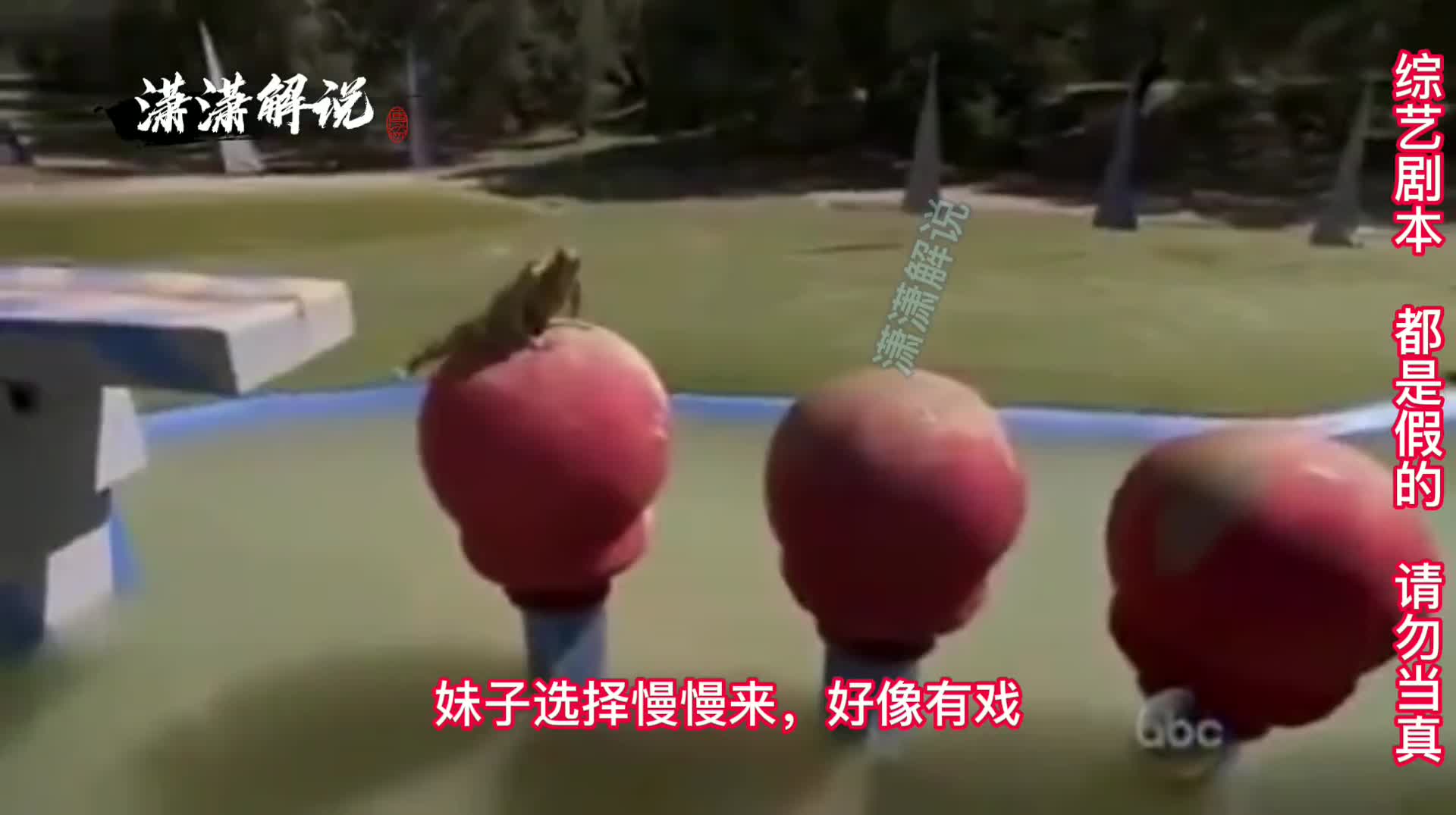 男生女生向前冲，又名谁都别想赢。