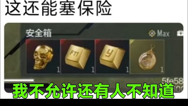 究极为什么能塞保险？DMZ究极保险箱保姆级攻略