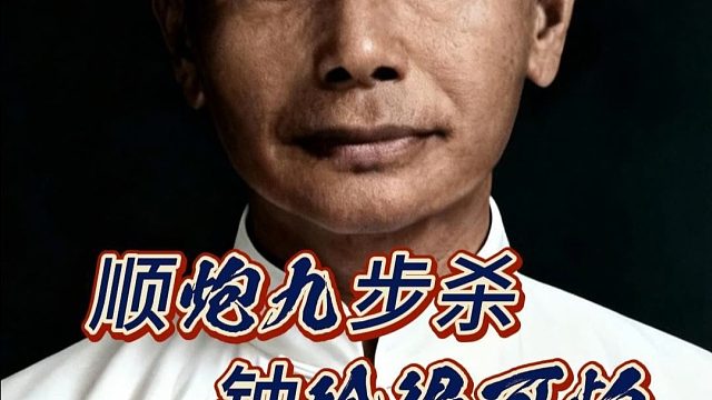 棋仙钟珍以弃马为饵九步连杀越南棋王，杀招行云流水天下第一顺炮