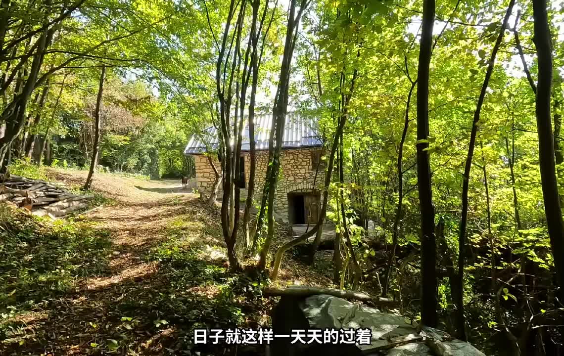 第3集：男人在野外翻新了自己的老房子