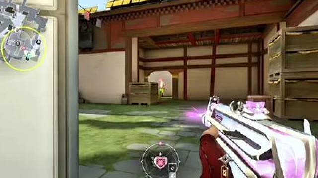 张豪般猫猫ak五杀音效