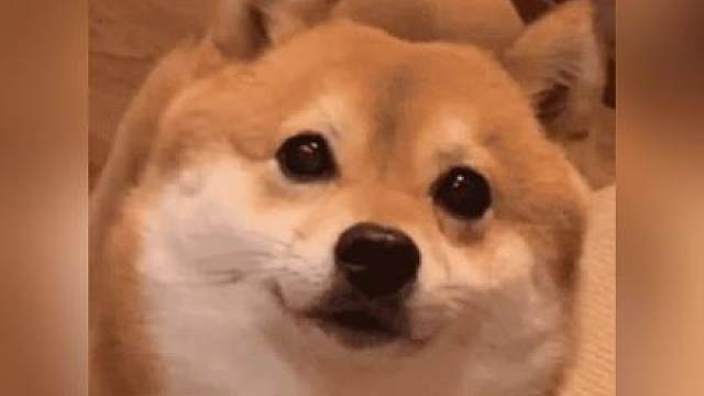 别把扑克牌打涨价了