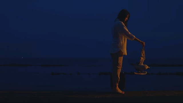 “她拾起海鸟的尸体，亲手埋葬了它。”