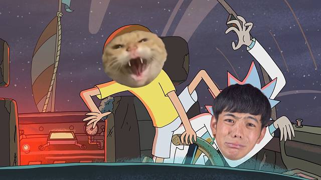 锐克和耄耋（1）烟袋树种子 上集