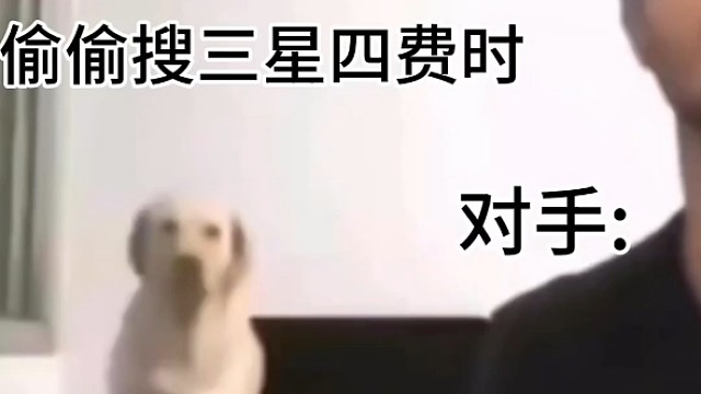 偷追三星四费的感觉谁懂呀？