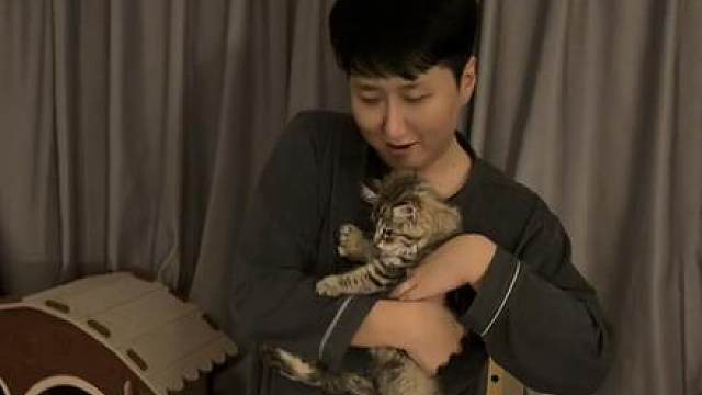 喂嘟生活碎片云顶之弈学习中，发现自己学废了