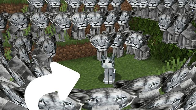 当MC服里加入狮子吼猫(玩家：傻福狮子终于赢一次了