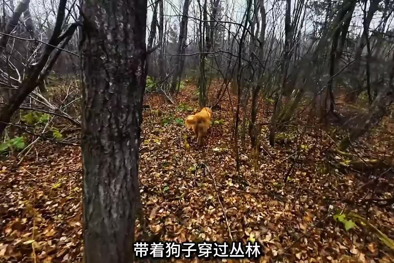 野外雪地露营，自制露营小车，享受雪地户外生活