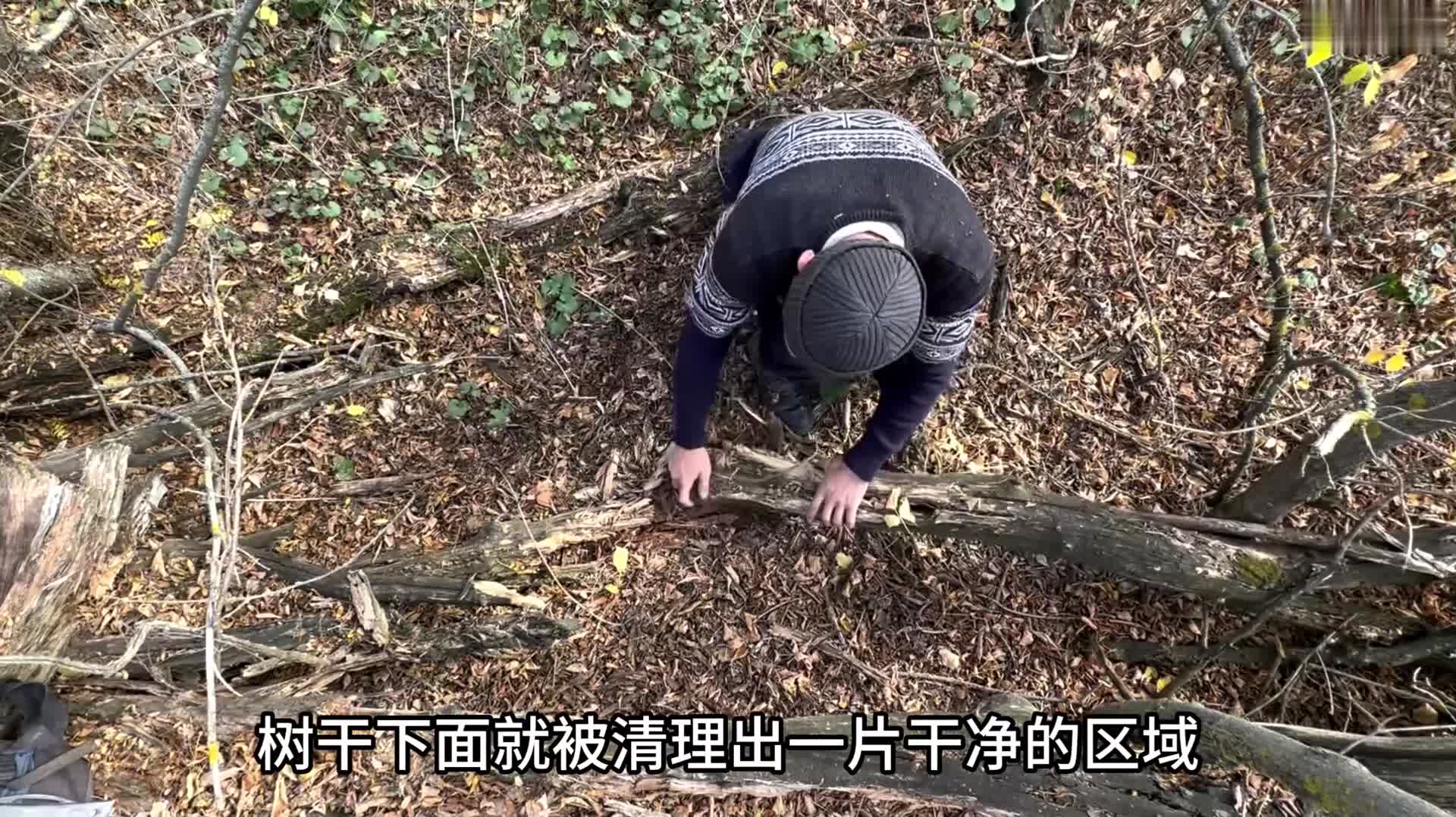 “一人二狗在野外搭建庇护所” (1)