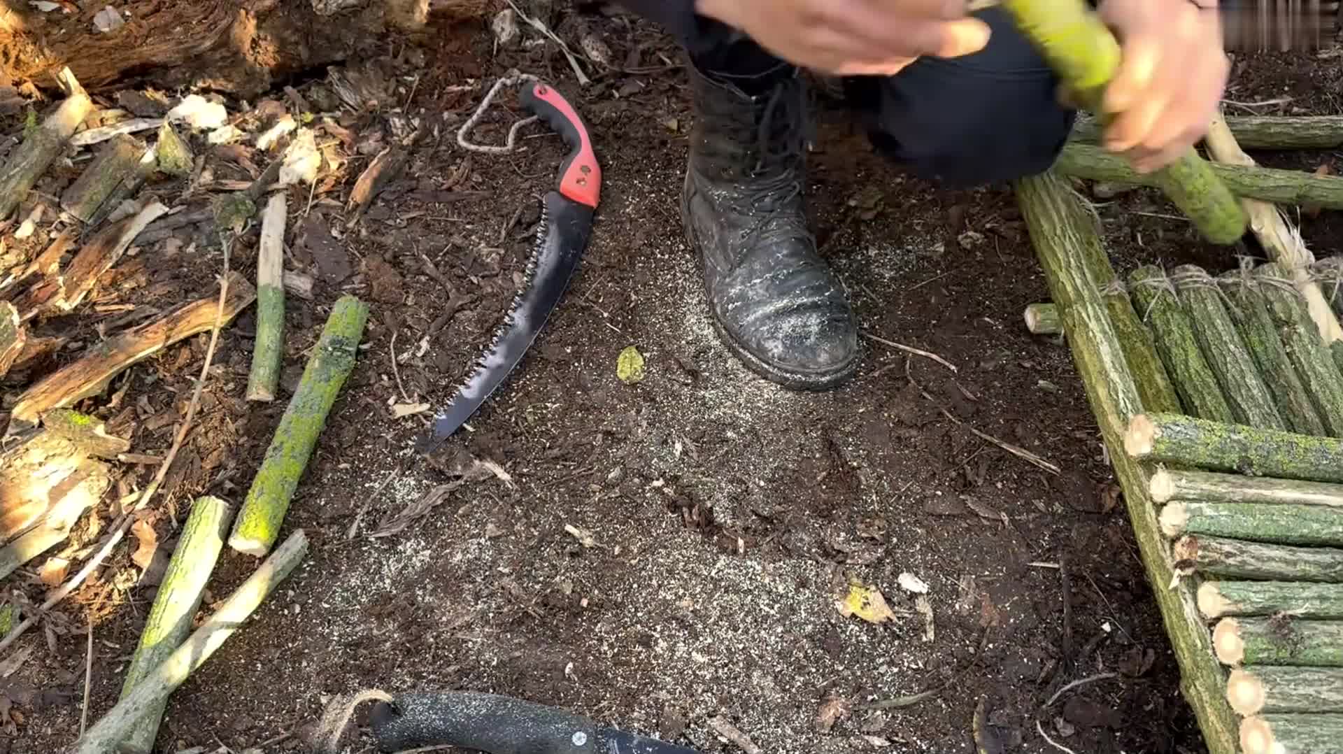 “一人二狗在野外搭建庇护所” (3)